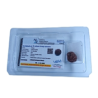 8 Mukhi Rudraksha Nepali 8 Mukhi Rudraksha Nepali