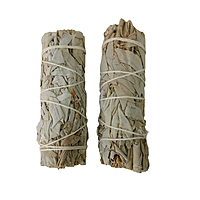 California Sage